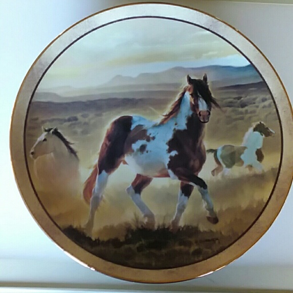 Dansbury Mint Other - Dansbury Mint Collectors plate. Desert King.